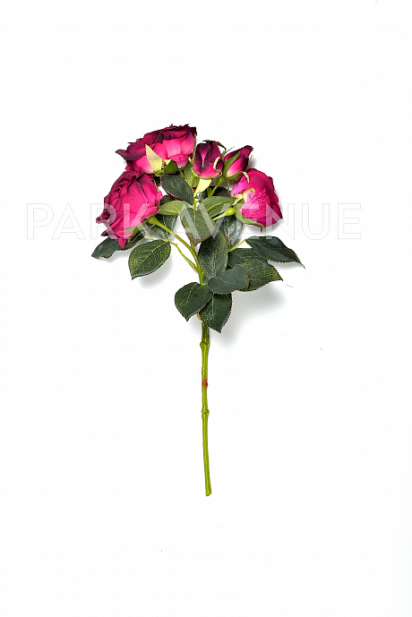 Роза PINK GARNET