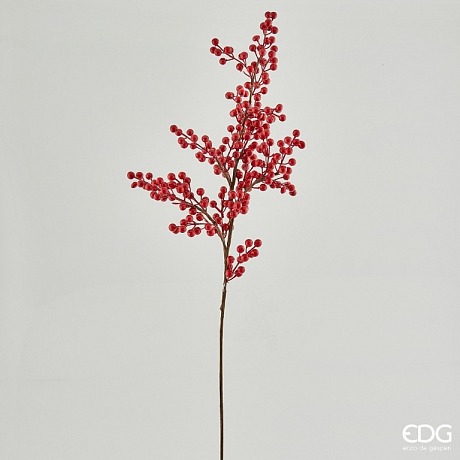 Ветвь с ягодами